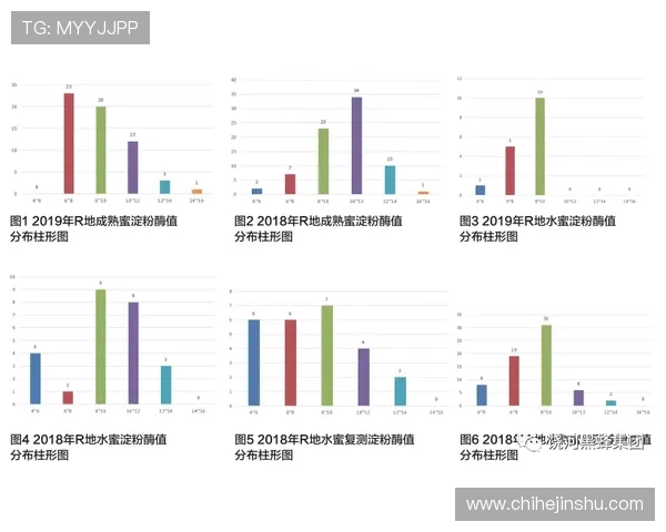 久保建英：多次外租期间的定位探索与成长分析